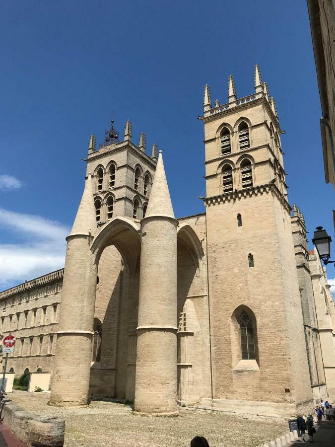 Superbe! Loft T3 -Ctre Historic- Prox. Place Comedie Montpellier Luaran gambar