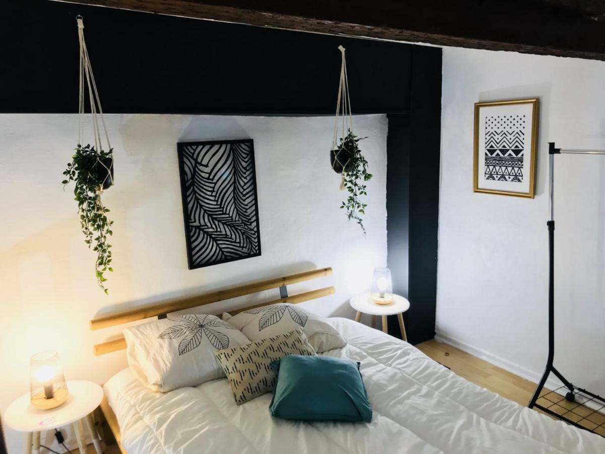 Superbe! Loft T3 -Ctre Historic- Prox. Place Comedie Montpellier Luaran gambar